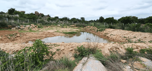 Dam filled after (1)