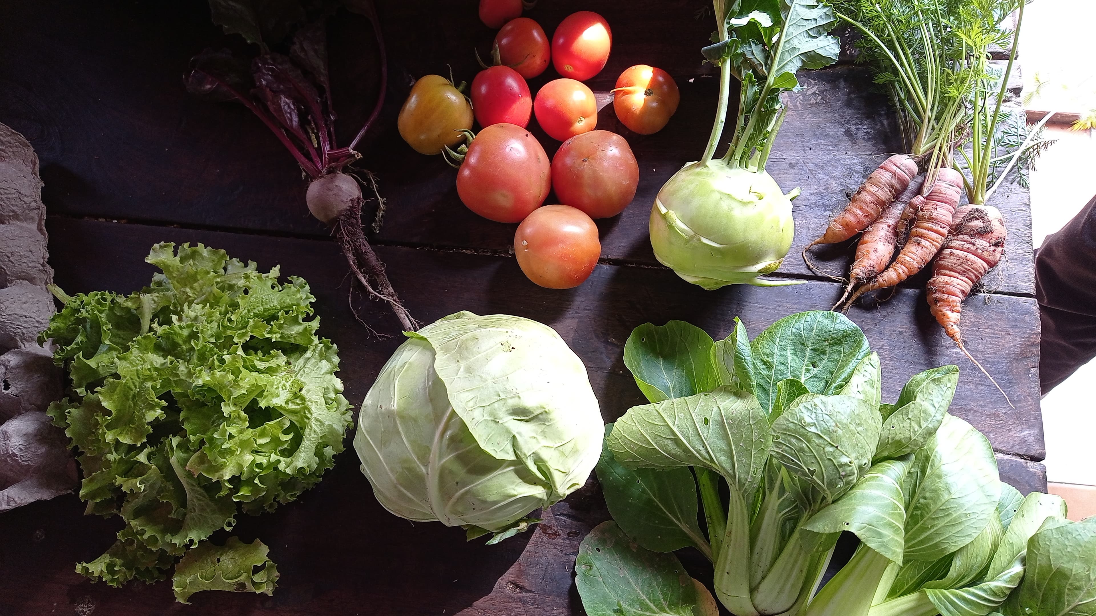 Raised beds and greens