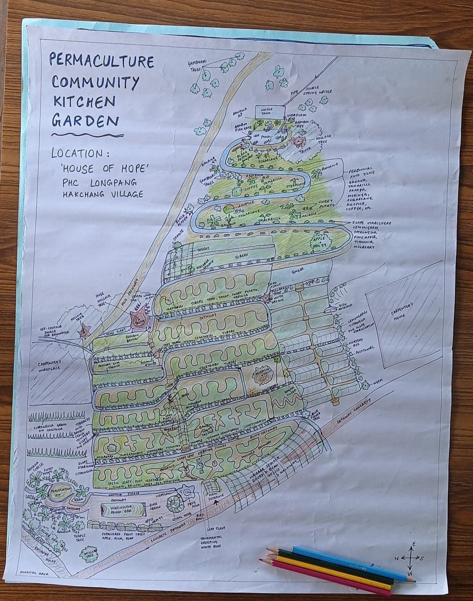Community garden beds